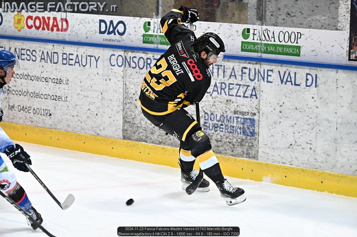 2024-11-23 Fassa Falcons-Mastini Varese 01743 Marcello Borghi